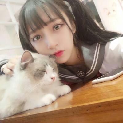 女神学园果盘版下载